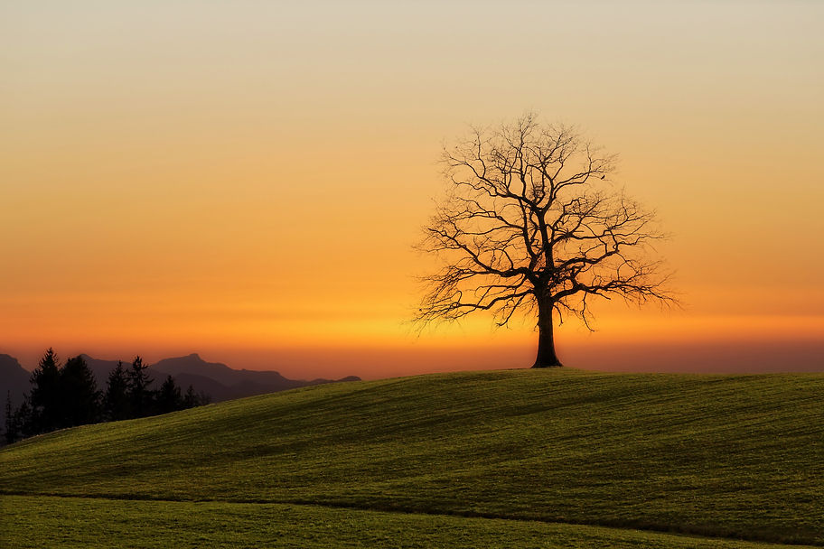 Image by Johannes Plenio