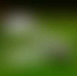 Crise energética: debates entre segurança e sustentabilidade