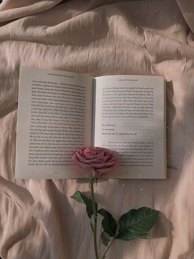 Image by Thoa Ngo