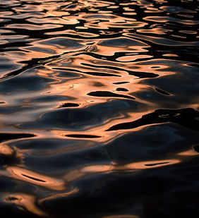 Image by Cristian Palmer