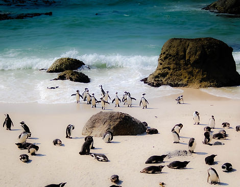 Image by Casey Allen