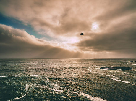 Image by Joseph Barrientos