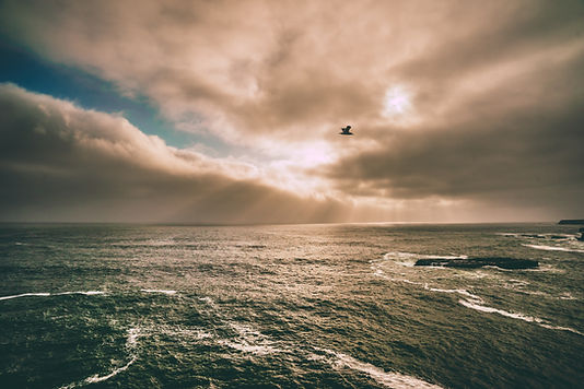 Image by Joseph Barrientos