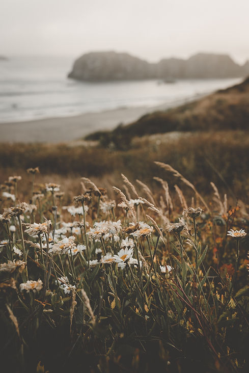 Image by Clay Banks