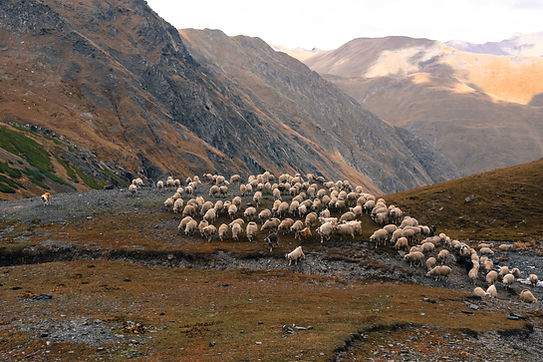 Image by Hans Heiner Buhr