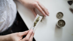Marijuana and the Election: Which Congressional Cannabis Act Could Have the Most Substantial Impact?