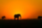 Image by Jordan Heinrichs