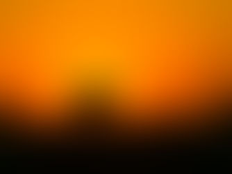 Are You An Elephant On A Rope?