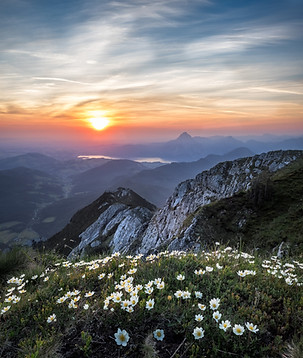 Image by Simon Berger
