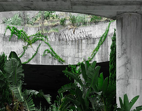 Concrete Jungle