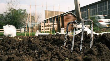 We All Need An Allotment
