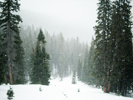 The Promised One: Advent Day 6