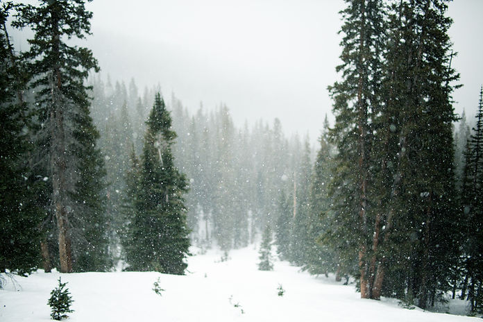 Image by Grant Lemons