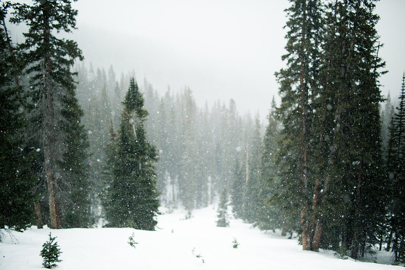 Image by Grant Lemons