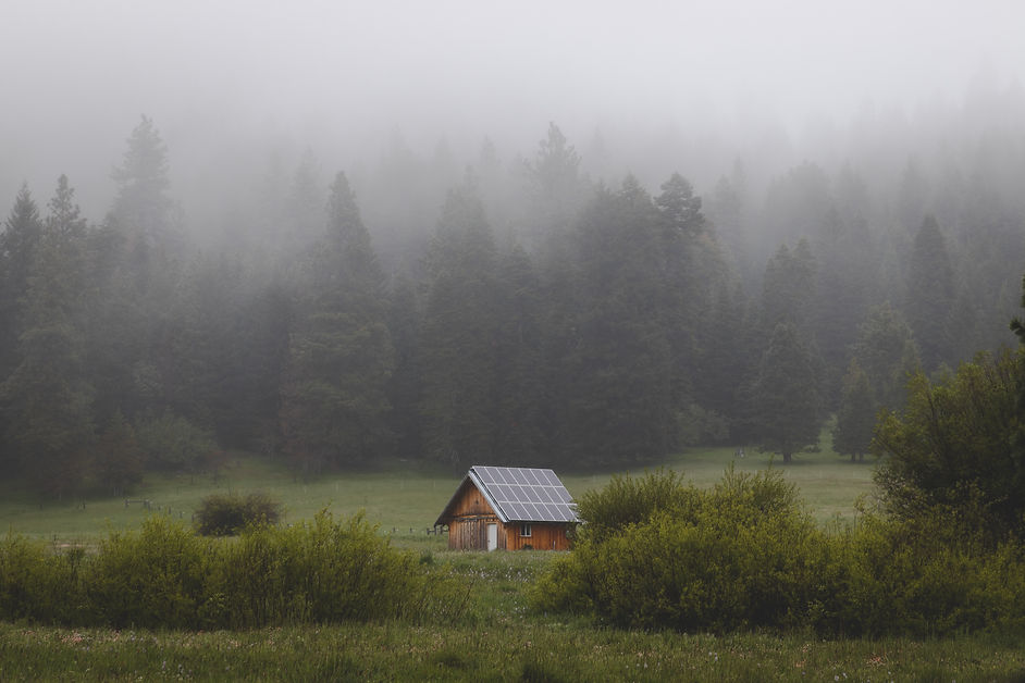 Image by Alex Bierwagen