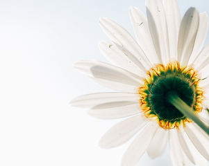 Image by Aaron Burden