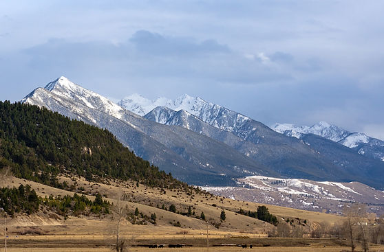 vehicle registration Montana