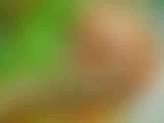 Σύνθεση στη φωτογραφία. Βασικές αρχές από τον Γιώργο Τατάκη