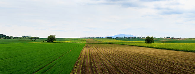 Image by Lukasz Szmigiel