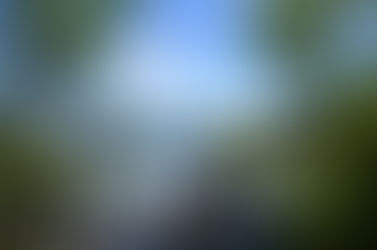 Establecidas en justicia, afirmadas en paz.