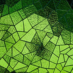 Image by Patrick Fore