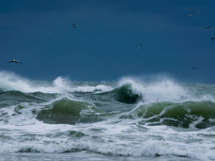 Jesus is Lord over the Fallen World