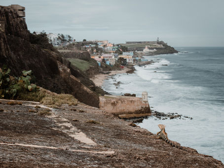 Meet Luis Beniquez, Disaster Project Coordinator in Puerto Rico