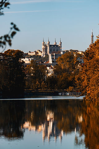 Image by Petr Slováček