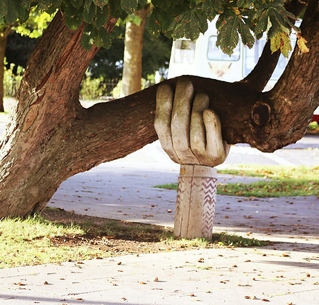 hand holding up branch