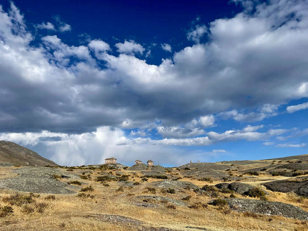 Image by Sarah Renkert