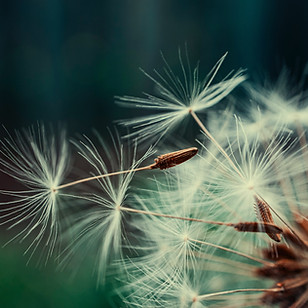 Image by Олександр К