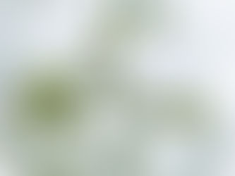 2023.1.22ヨハネによる福音書 16 章 16~24 節「悲しみを喜びに変えるイエス様」