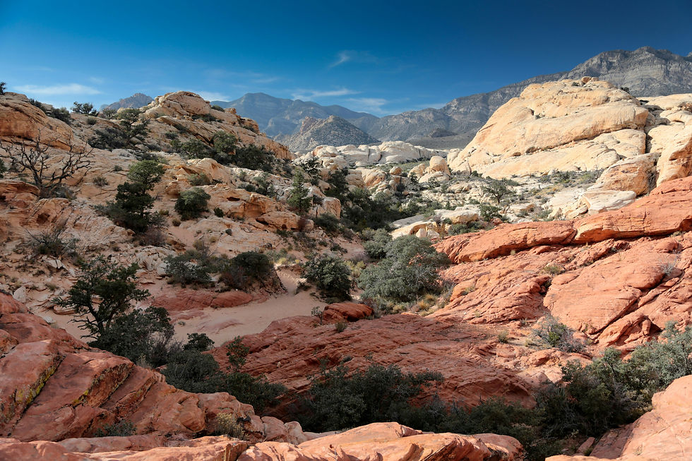 Image by Mike Benna