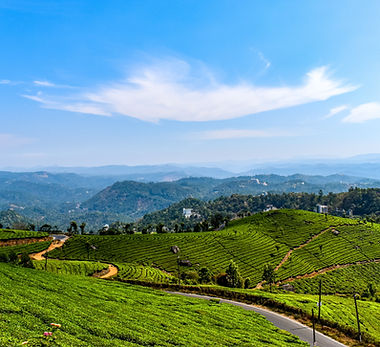 Magical Kerala From Cochin