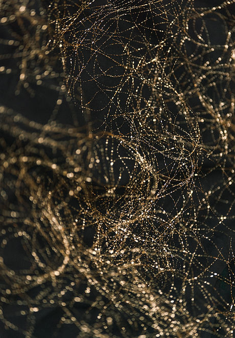 Image by Kier in Sight