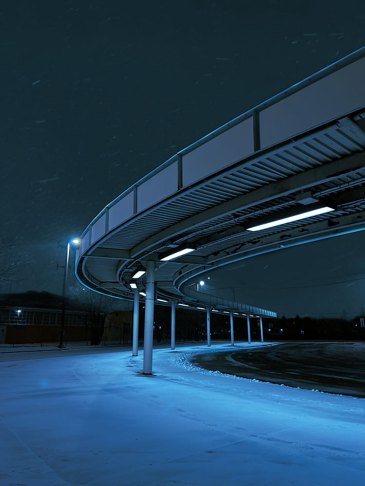 Image by Kevin Bonilla