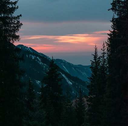 Image by Daniyar Aliaskharov
