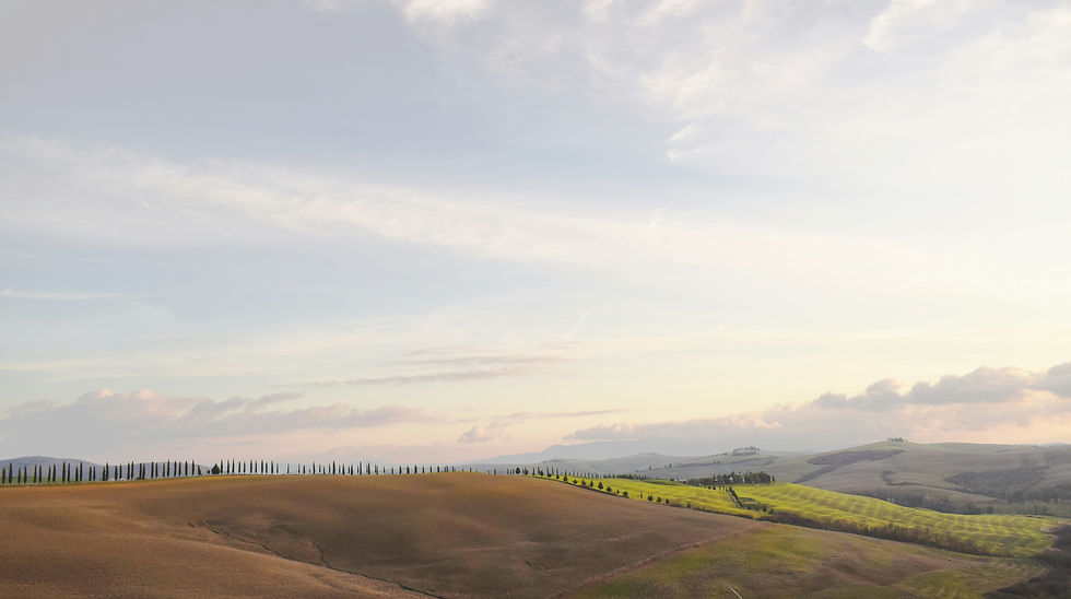 Image by Chris Barbalis