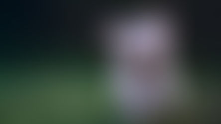 So stärkt dich dein Emotional Support Dog wirklich