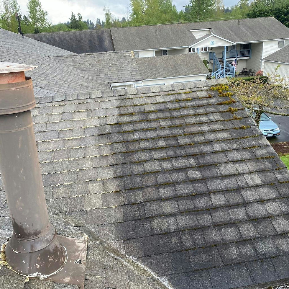 High angle view of roof shingles with visible wear