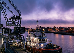 Sostenibilidad medioambiental