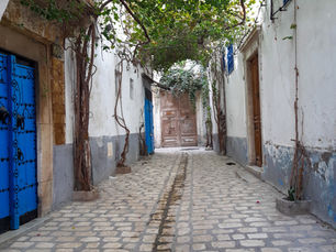 Die besten Viertel von Djerba: Wo Sie investieren sollten, um die Insel und ihre Attraktionen im ...