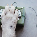 Image by freestocks