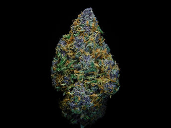 Cannabis bud