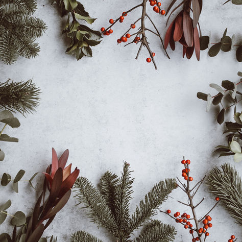 Deck the Halls with Green: A Guide to an Eco-Friendly Holiday