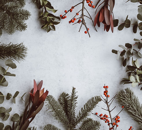 Image by Annie Spratt