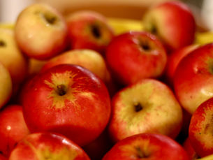 Apples.