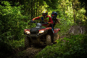 ATV driving through a forest