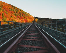 Closeup of train tracks with trees in background