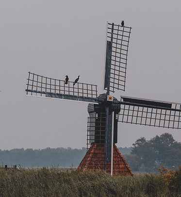 Image by Kai Dahms
